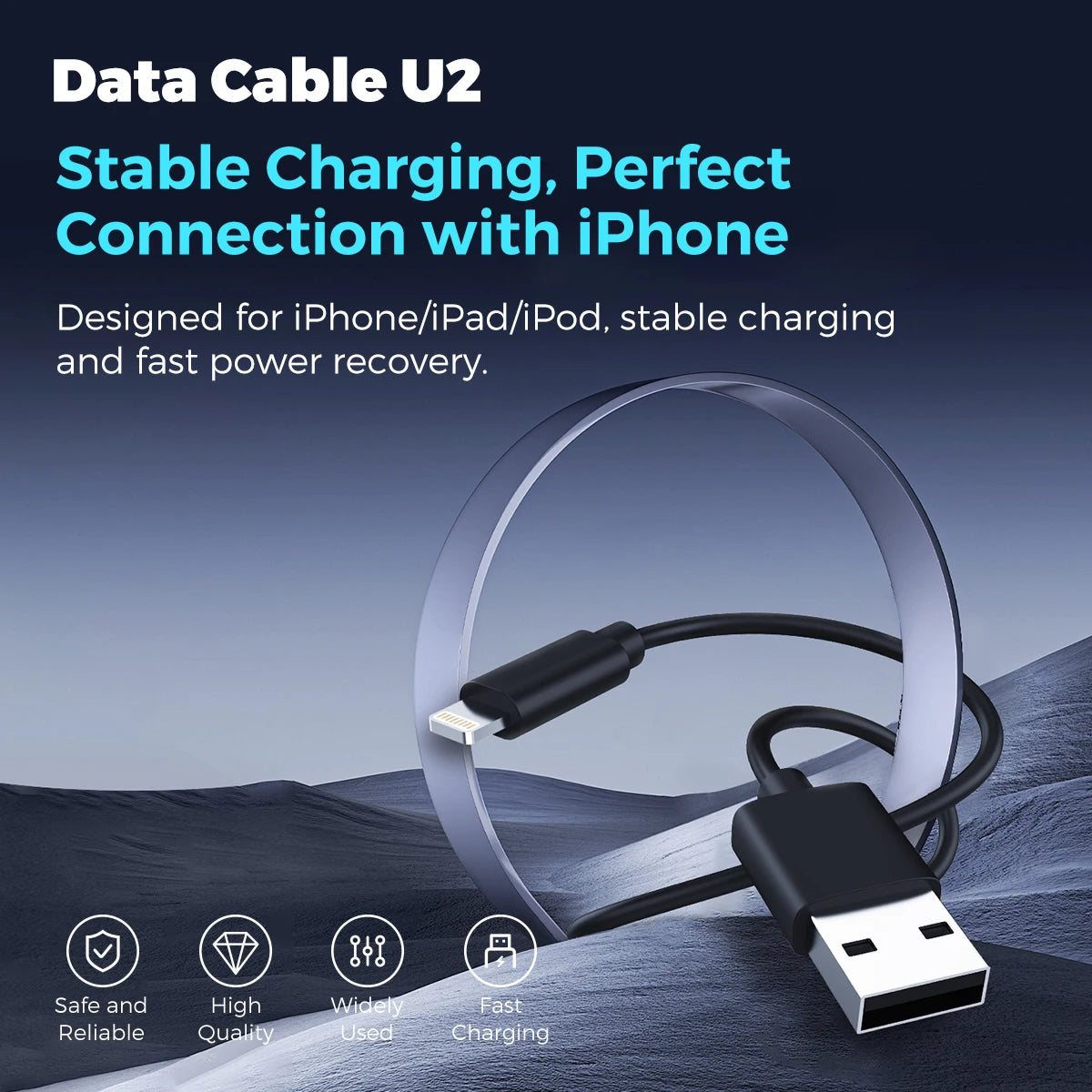RDT U1-U4 Data Cables Fast Charging USB C to Lightning Type-C to C Cable for All Devices Smart Chip Protection