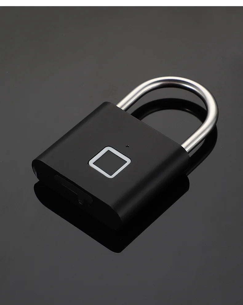 RDT Quality Waterproof Fingerprint Lock Keyless Anti-Theft Smart Lock Fingerprint Padlock Zinc Alloy Safety Electronic Door Locks